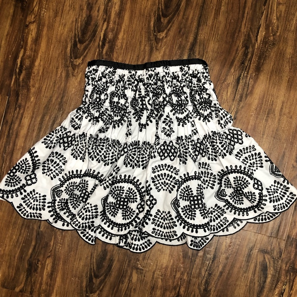 Fit and flare zara skirt
